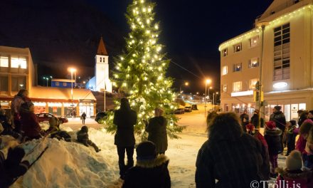 Ljósin tendruð á jólatrjánum í Fjallabyggð