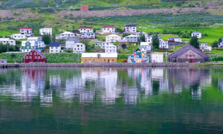 Á bæjarlínunni: Baulaðu nú Búkolla mín….