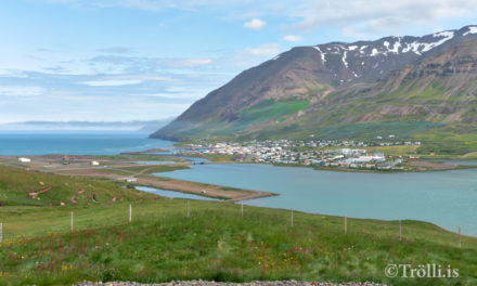 Samningur við Skógræktarfélag Ólafsfjarðar