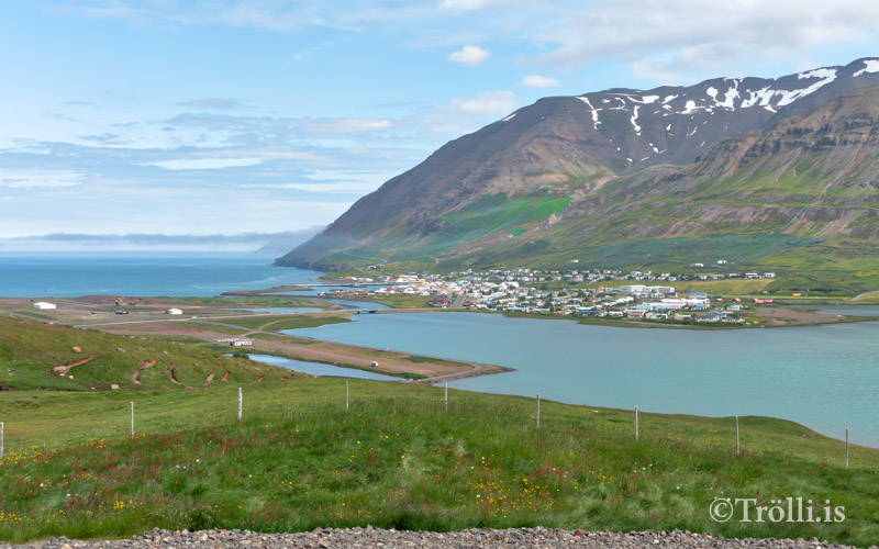 Samningur við Skógræktarfélag Ólafsfjarðar