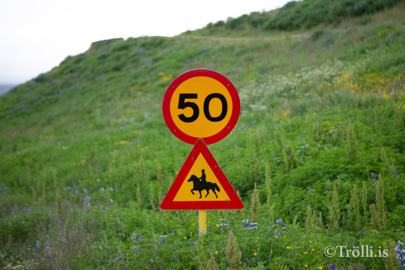 Umferðahraði færður niður í 35 km/klst.