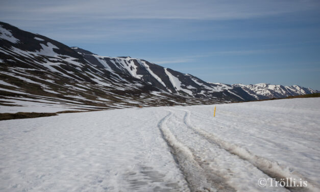 Fjarðargangan haldin á Lágheiði