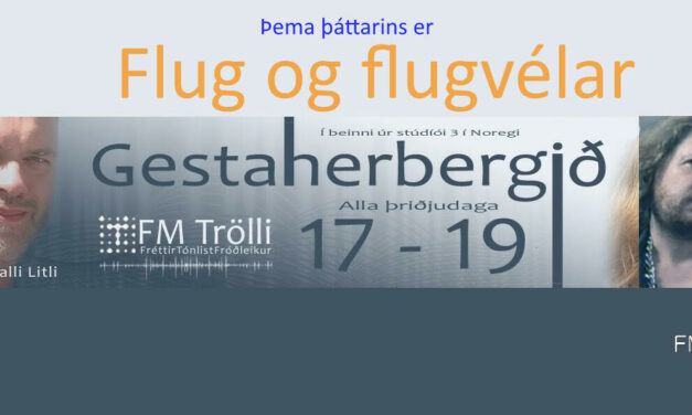 Gestaherbergið í dag klukkan 17-19 og þema þáttarins er flug og flugvélar