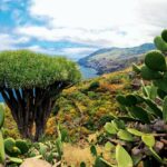 La Palma – Eldfjallaeyjan fagra