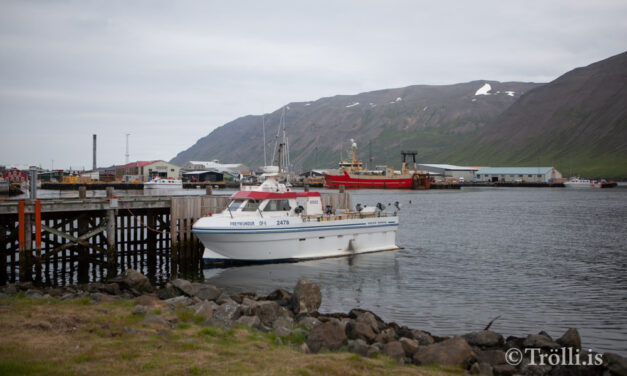 3860 tonnum landað í Fjallabyggð á árinu