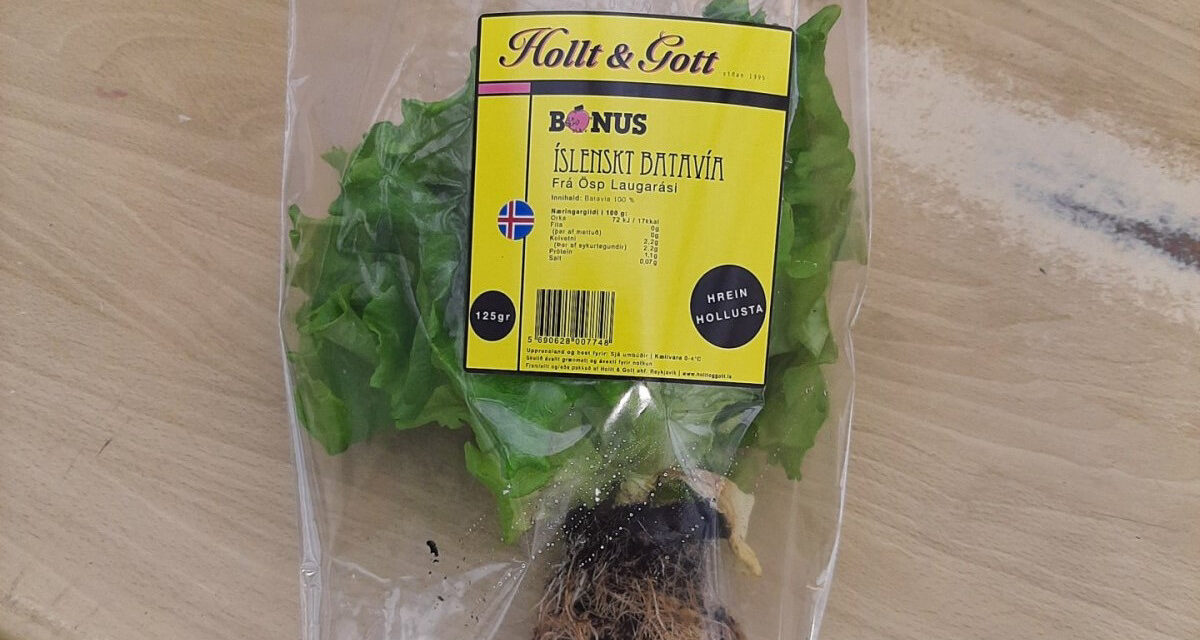 Glerbrot í salati frá Hollt og Gott