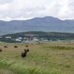 Rafmagnslaust í Skagafirði
