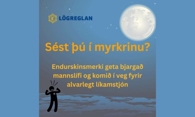 Sést þú í myrkrinu