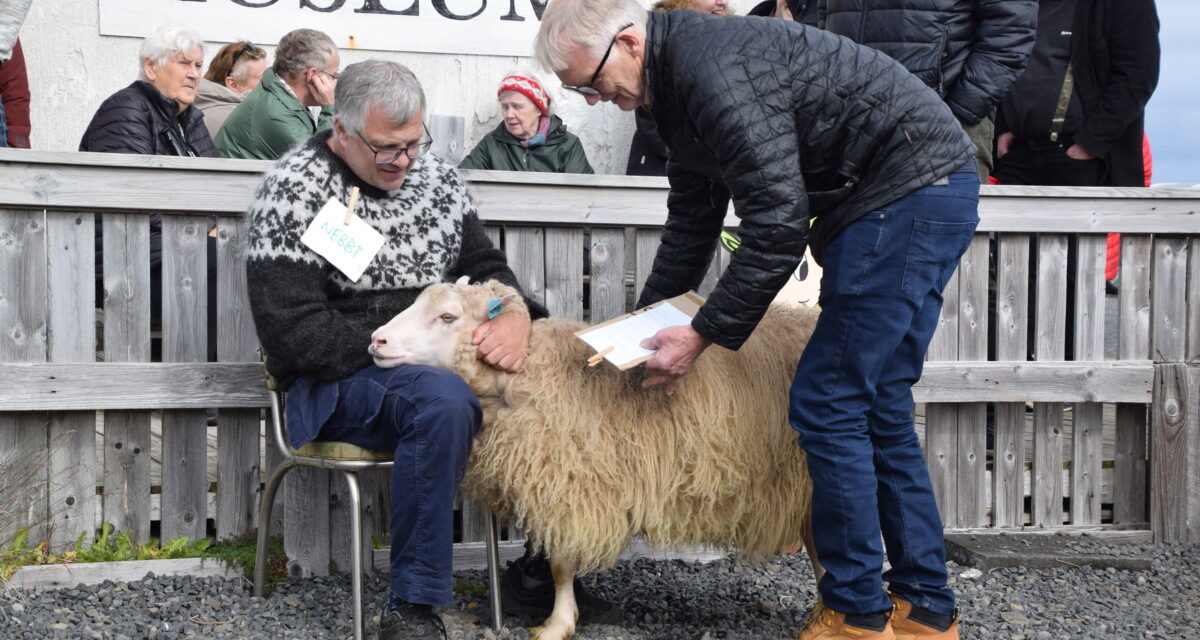 Gáfu skammt af hrútasæði í vinning