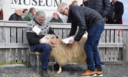 Gáfu skammt af hrútasæði í vinning