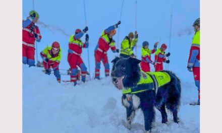 Hefur þú áhuga á að starfa í björgunarsveit?