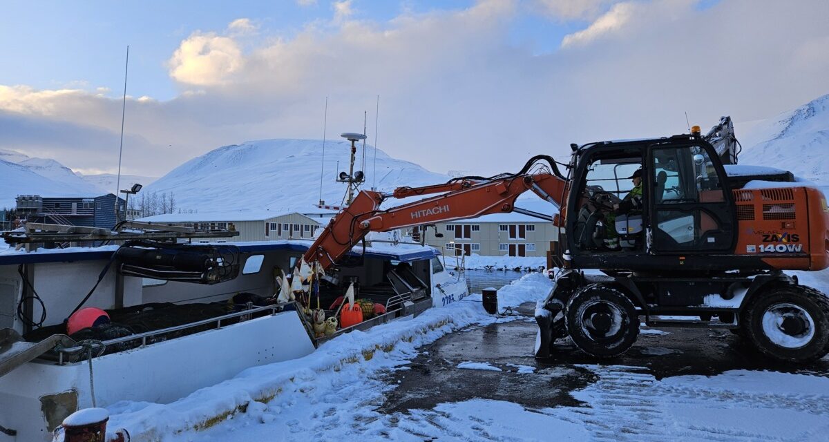 Landað upp út bátum með gröfu