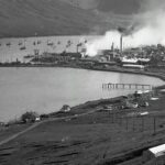 Siglufjörður – skipakomur 