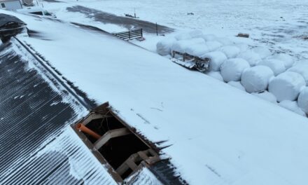 Gjörningaveður í Fljótum – Heiti potturinn flaug yfir á næstu bújörð