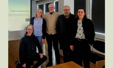 Vefur Fuglavinafélags Siglufjarðar kominn í loftið