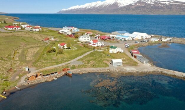 Landeldi norðan Hauganess