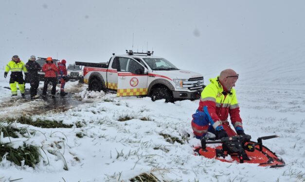 Komu sauðfé í skjól – Myndir