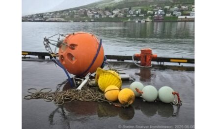 Veðurdufl strandaði í Hvanneyrarkrók