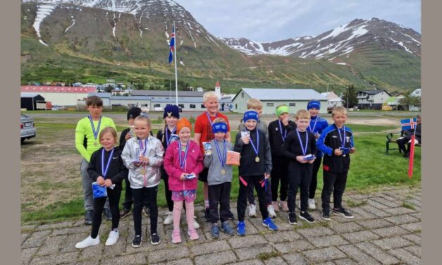 17. júní hlaup á Rammalóðinni