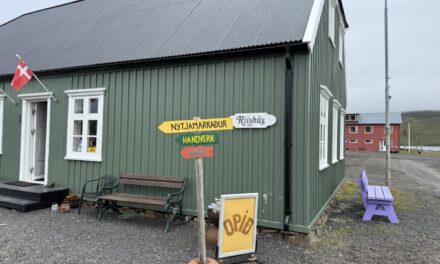 Setja upp fjólubláa bekki – Vitundarvakning um Alzheimer