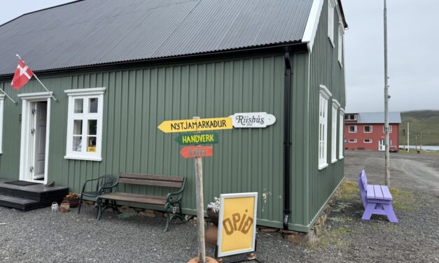 Setja upp fjólubláa bekki – Vitundarvakning um Alzheimer