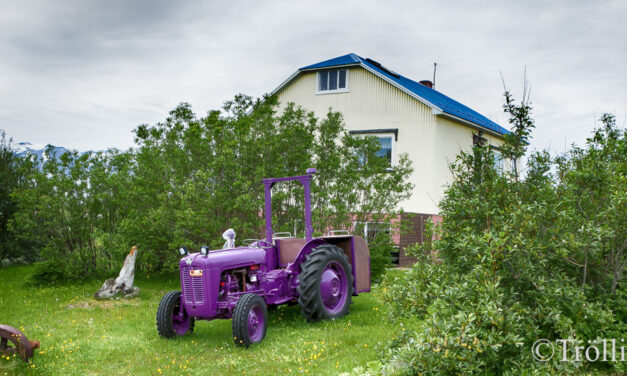 Hríseyjahátíðin nær hápunkti í dag
