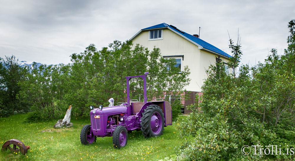 Hríseyjarhátíðin nær hápunkti í dag