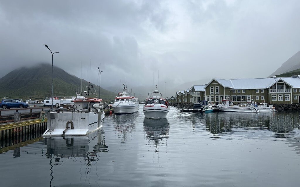 500 gestir fóru á sjó á Trilludaginn