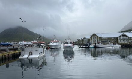 500 gestir fóru á sjó á Trilludaginn