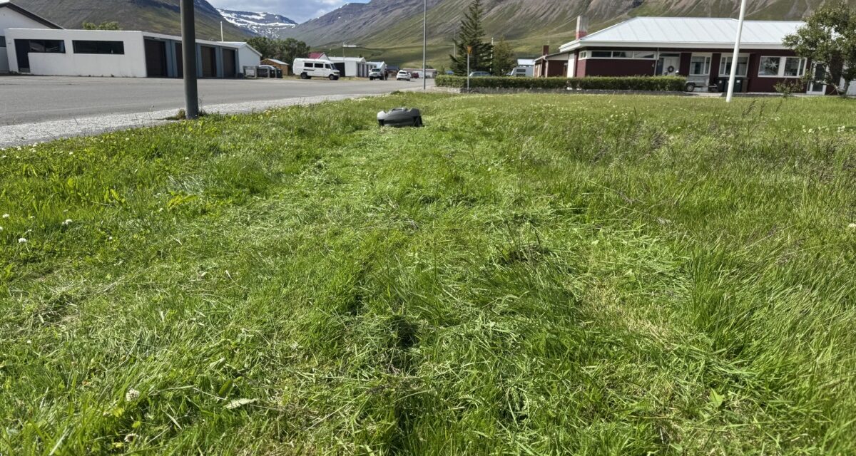 Sjálfvirkur sláttuþjarkur tekinn í notkun í Ólafsfirði
