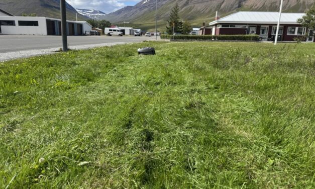 Sjálfvirkur sláttuþjarkur tekinn í notkun í Ólafsfirði