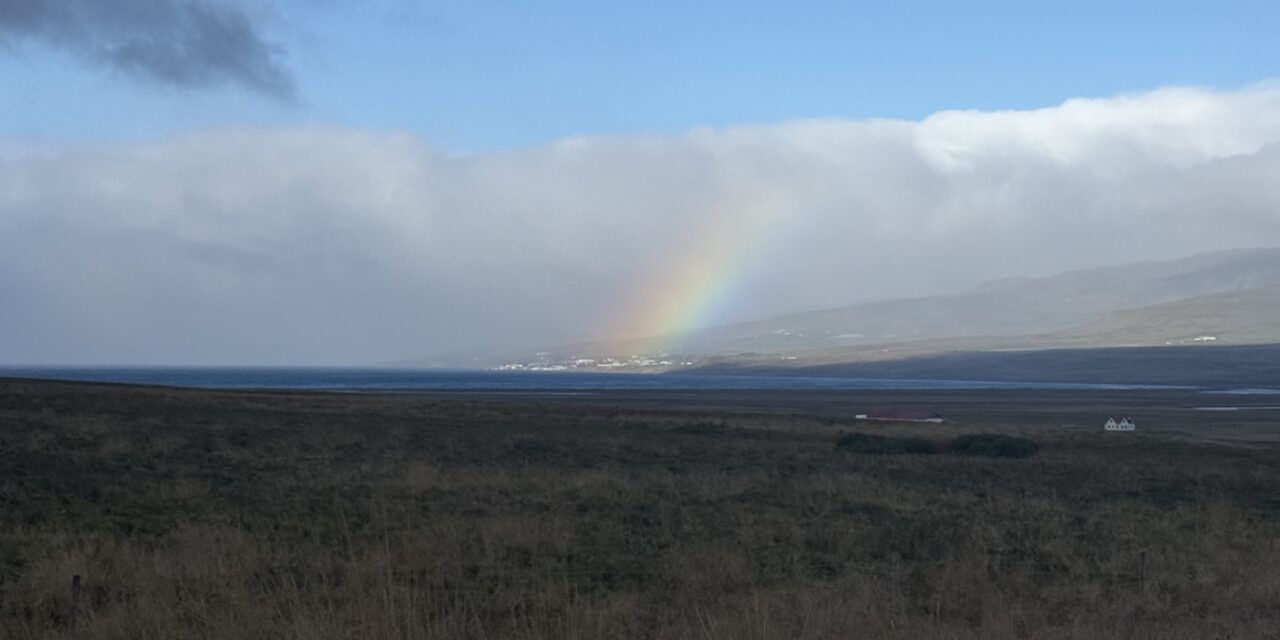 Dagbók sveitastjóra Húnaþings vestra