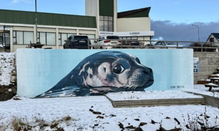 Útilistaverk vekja athygli á Hvammstanga