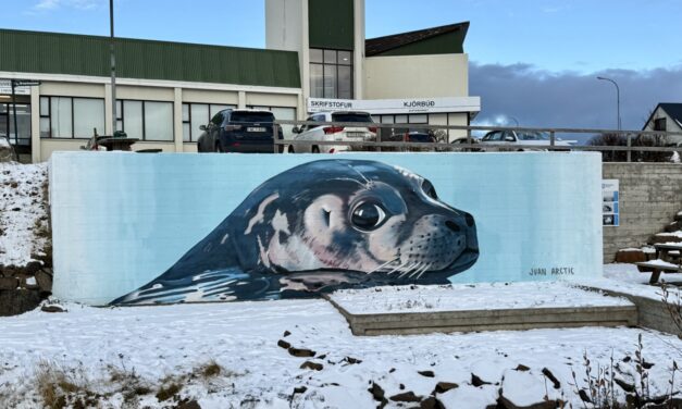 Útilistaverk vekja athygli á Hvammstanga