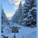 Fjarlægja raflínumöstur í Kjarnaskógi