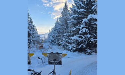 Fjarlægja raflínumöstur í Kjarnaskógi