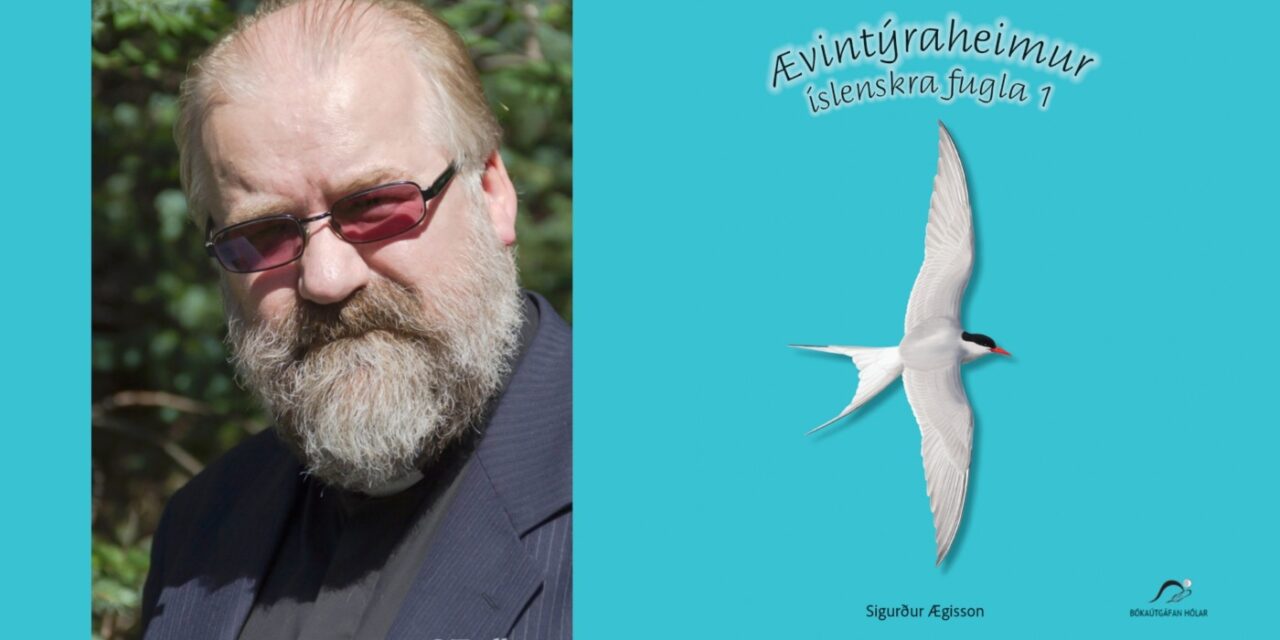 Sr. Sigurður Ægisson gefur út sína fyrstu barnabók – um ævintýraheim íslenskra fugla