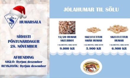 Skíðafélag Siglufjarðar stendur fyrir jólahumarsölu til styrktar barna- og unglingastarfi