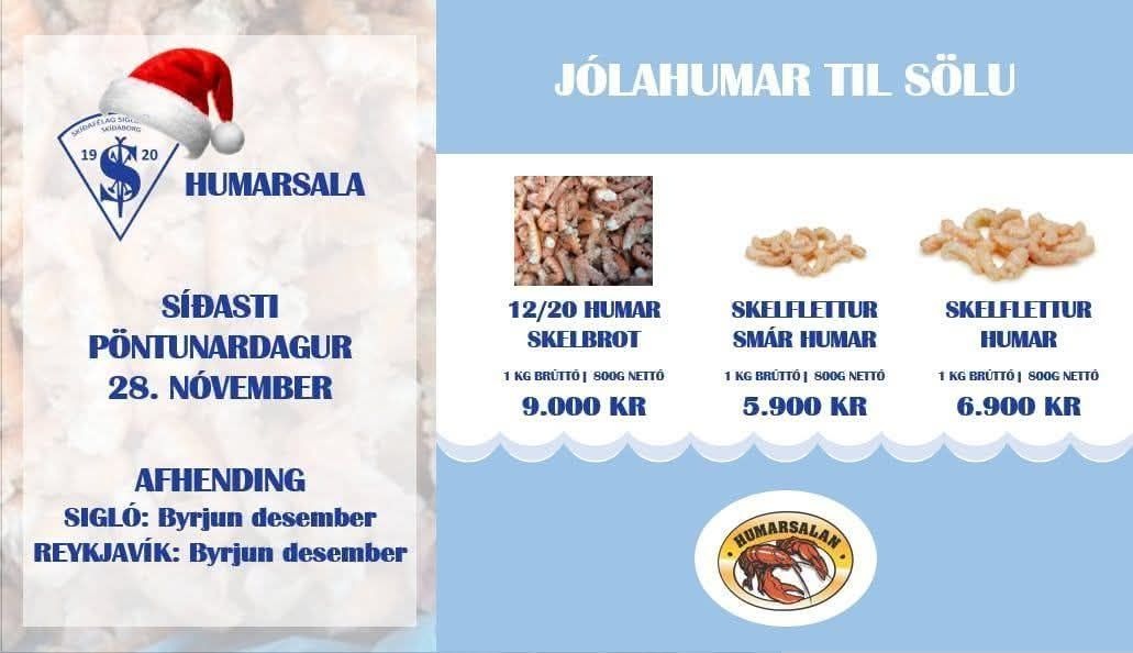 Skíðafélag Siglufjarðar stendur fyrir jólahumarsölu til styrktar barna- og unglingastarfi