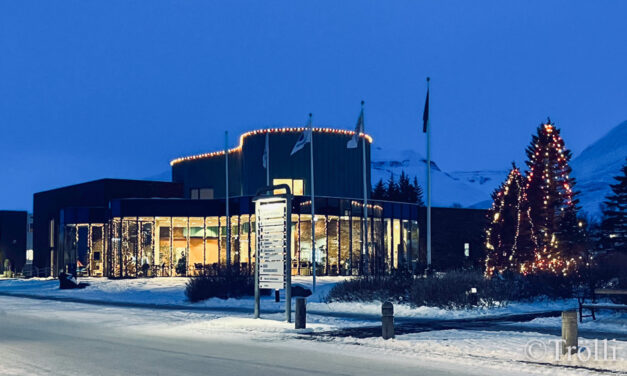 Stolin athygli leitar eiganda síns!