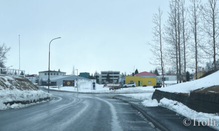 Þjónustustefna Dalvíkurbyggðar