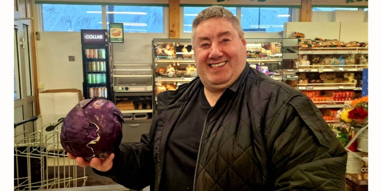 Líf og fjör í Búðarrápi Sigurjóns – Kálhausar, gullharmar og rauðkálsgerð í aðventunni