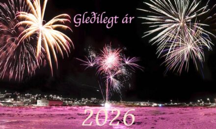 Gleðilegt ár