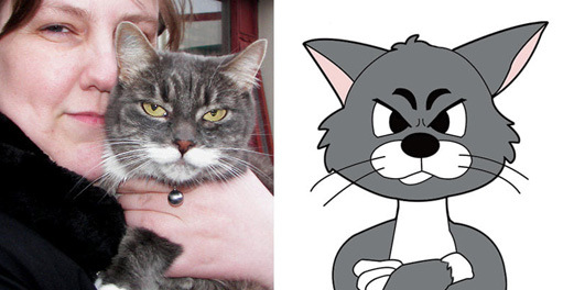 Barnabókahöfundur á Siglufirði hlýtur styrk úr Uppbyggingasjóði Norðurlands eystra - Grallarar