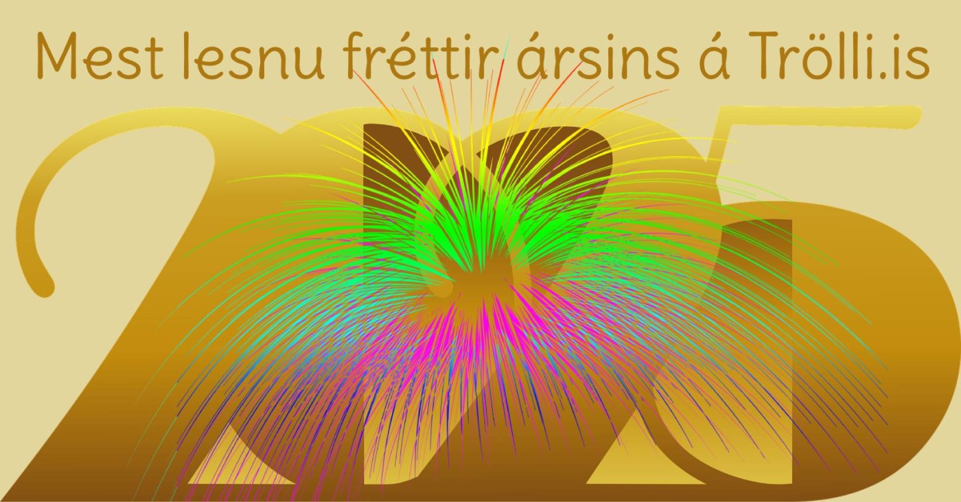 Fréttir ársins 2025