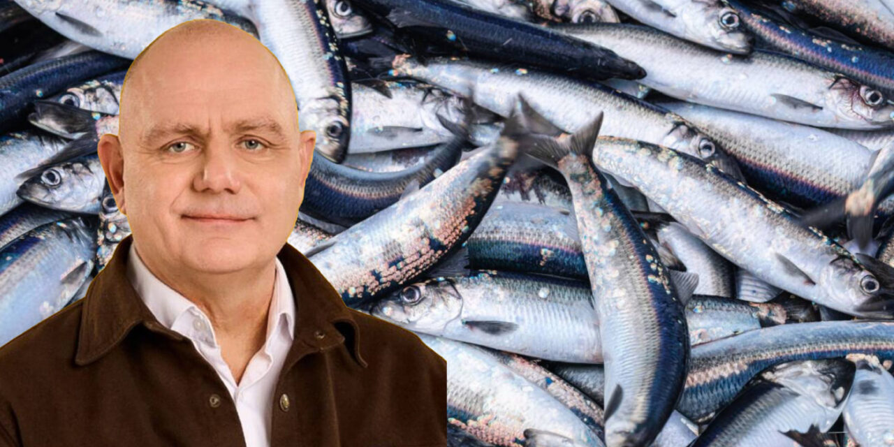 Makríllinn vannýttur