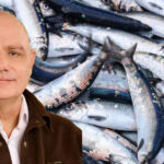 Makríllinn vannýttur