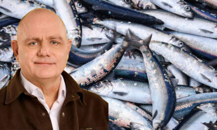 Makríllinn vannýttur