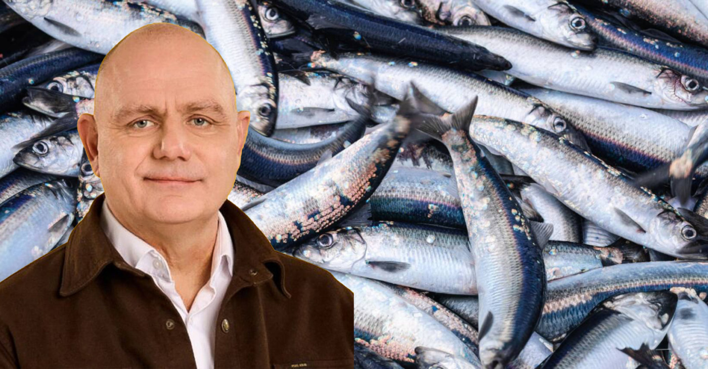 Makríllinn vannýttur