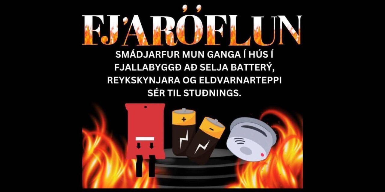 SmáDjarfur eflir öryggi heimila í fjáröflun í dag